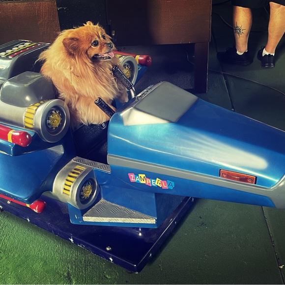 Happy New Year 🎆 2024 - Picture 10 of 14